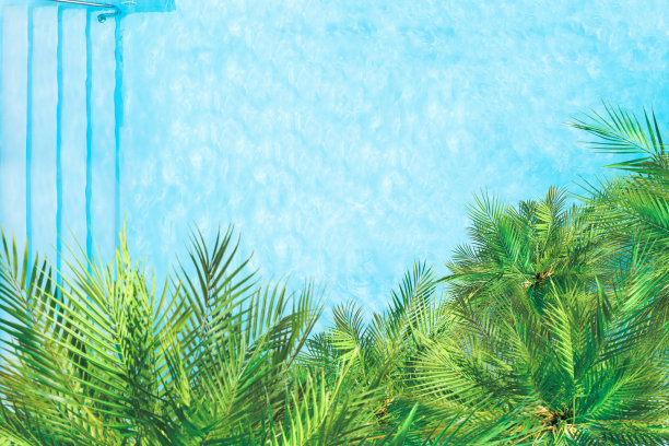 游泳池和棕榈树的航拍景观。热带夏季豪华酒店图片下载