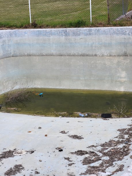 废弃的池2图片下载