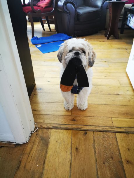 我的袜子在哪儿图片下载