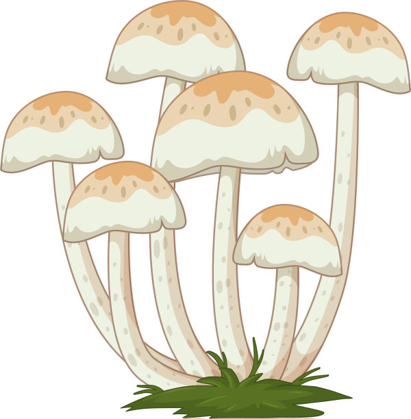 许多蘑菇在白色的卡通风格图片下载