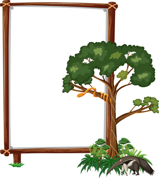 空横幅上写着野生动物和热带雨林图片下载