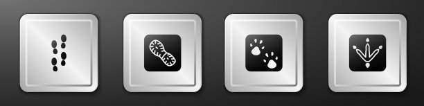 设人类脚印、鞋爪和鸡爪图片下载