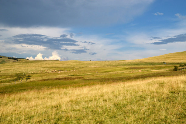 草甸黄昏图片下载