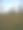 夏季特写照片中的沼泽图片下载