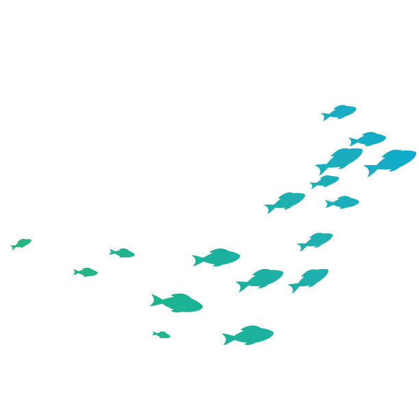 鱼的背景图片下载