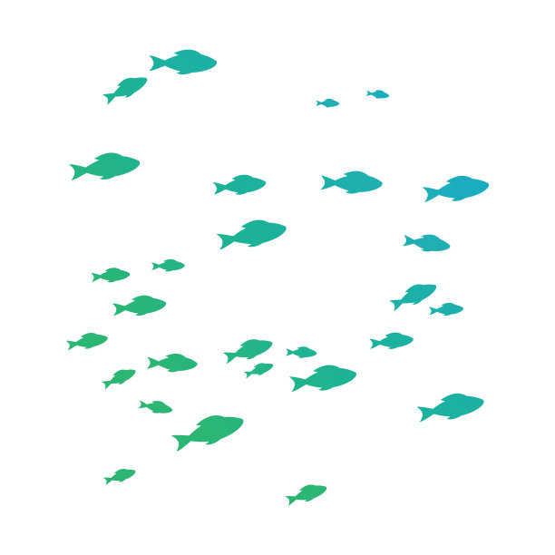 鱼的背景图片下载