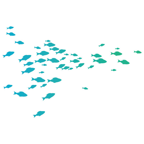 鱼的背景图片下载