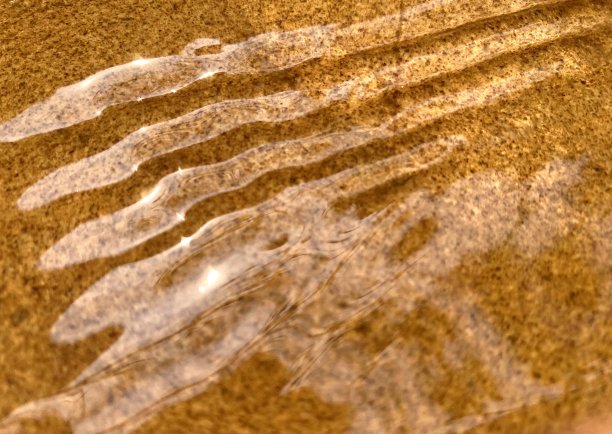 闪亮的阳光图片下载