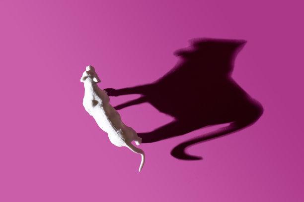 一个白色的老虎玩具，夏天的阴影和可爱的紫色背景。平就安排图片下载