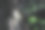 树干纹理与模糊的背景图片下载