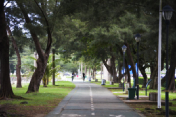 萨巴市基纳巴路公共重建公园图片下载