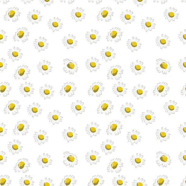 颜色无缝雏菊图案。图片下载