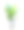 室内盆栽植物隔离在白色背景上。图片下载