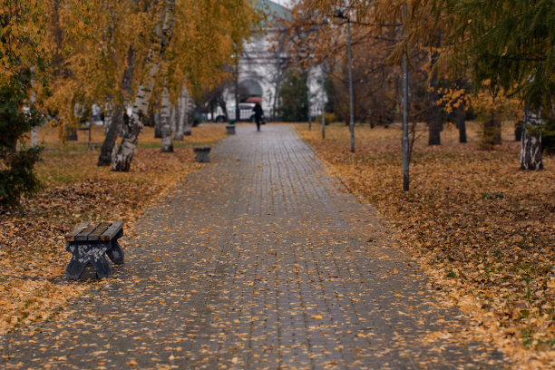 秋天公园里的小路上有黄色和橙色的秋天树图片下载