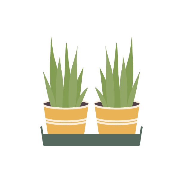 盆栽植物在托盘平面矢量插图图片下载