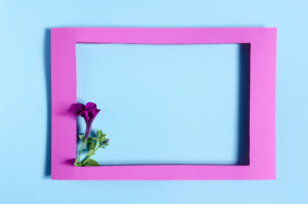 粉红色的纸框架装饰着红色的花朵在彩色的背景。一个扁平的亮粉色框架和鲜花装饰。图片下载