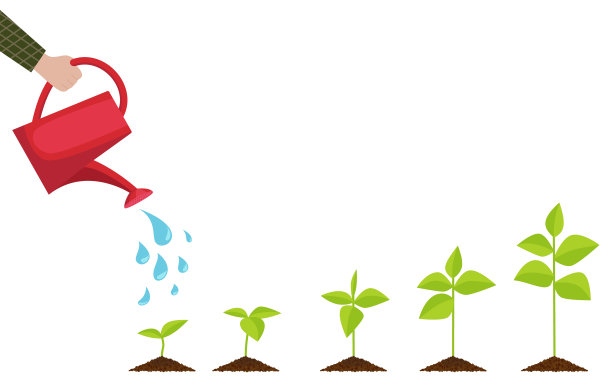 植物从萌芽到成虫的不断生长。植物栽培的阶段。平面风格的矢量插图。图片下载