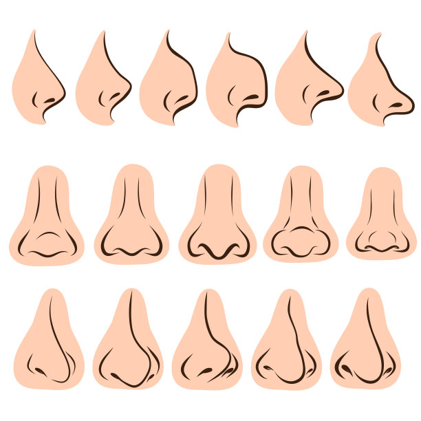 大套不同的鼻子为白色的脸设计图片下载