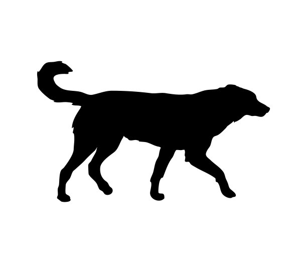 狗容易跑在马路剪影图片下载