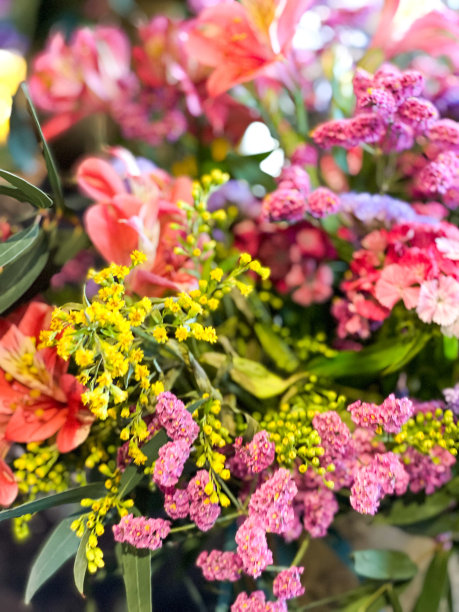 彩色的印花图片下载