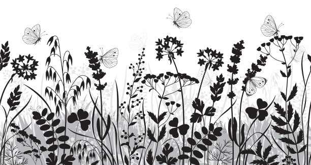 野花和蝴蝶的无缝边界图片下载