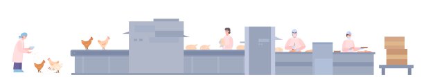 工厂生产线用于生产鸡肉，平面矢量插图隔离。图片下载