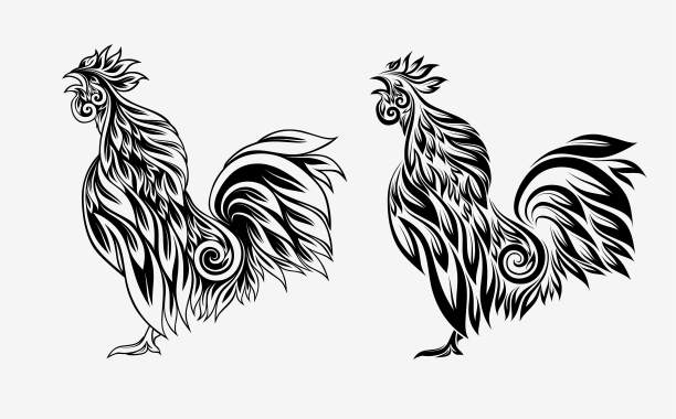 装饰性的小公鸡。用花装饰的风格公鸡。公鸡被隔离在白色背景上。图片下载