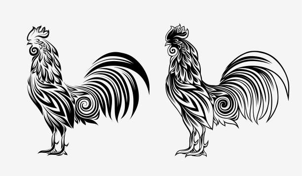 装饰性的小公鸡。用花装饰的风格公鸡。公鸡被隔离在白色背景上。图片下载