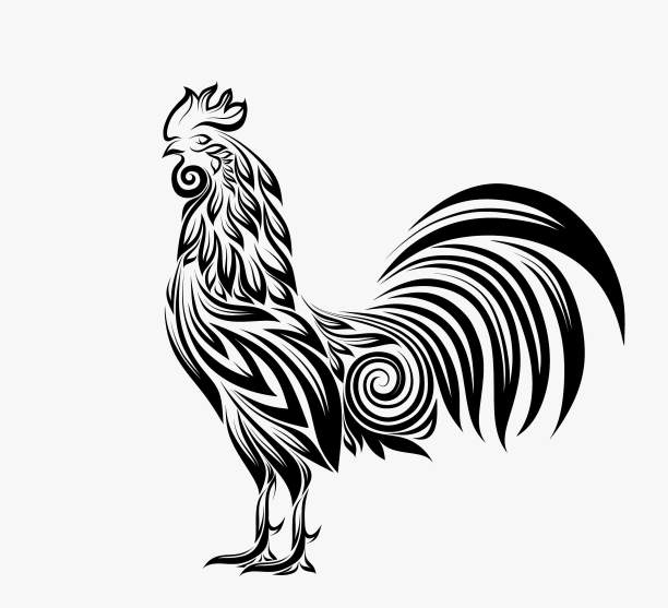 装饰性的小公鸡。用花装饰的风格公鸡。公鸡被隔离在白色背景上。图片下载