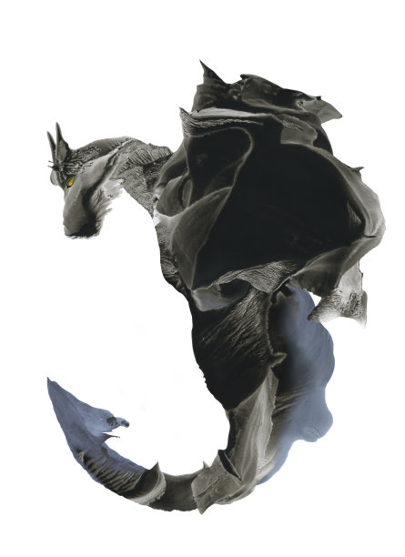 白底黑龙插图图片下载