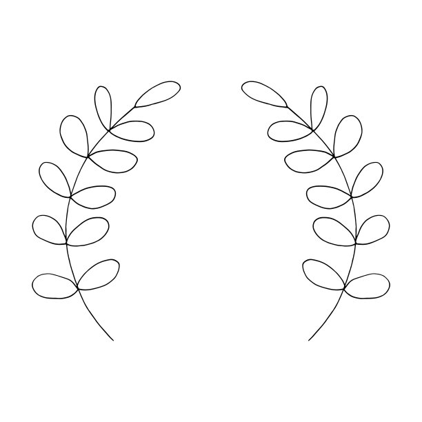 叶子框架。手绘涂鸦。向量，斯堪的纳维亚，北欧，极简主义，单色。植物,邀请,婚礼。边境。图片下载