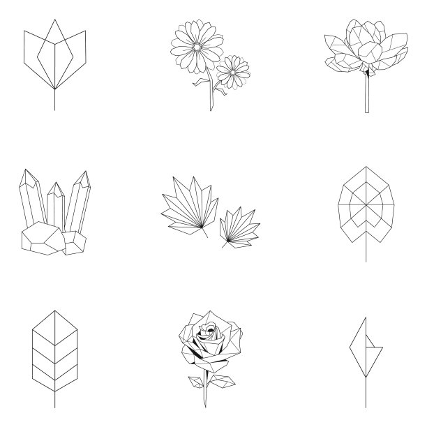 集自然线性图片下载