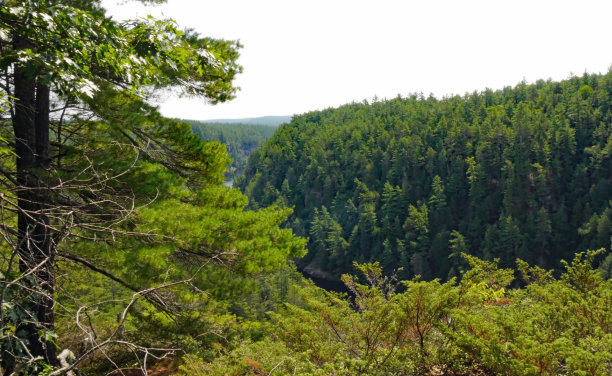 巴伦峡谷小路图片下载