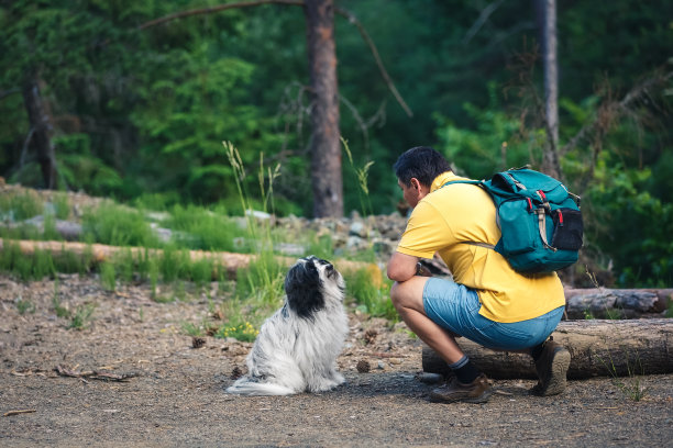 在针叶林遛狗。男人和美丽的西藏小猎犬在森林里互相看着对方的眼睛。爱宠物的概念图片下载