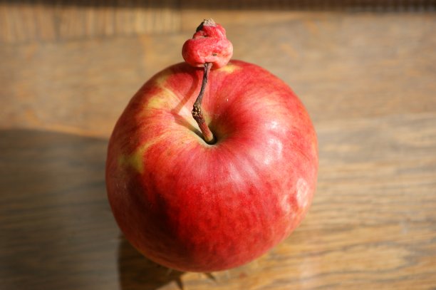 大苹果和小苹果图片下载