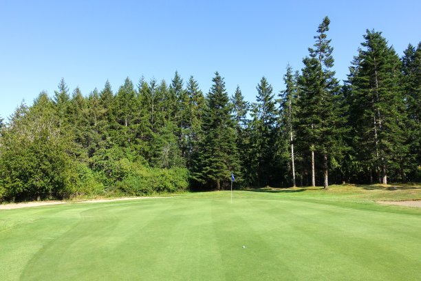 加拿大不列颠哥伦比亚省温哥华岛上，一片被森林环绕的美丽高尔夫球场图片下载