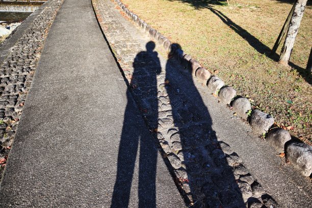 13、草坪上映出一个快乐的孩子，幸福家庭的影子图片下载