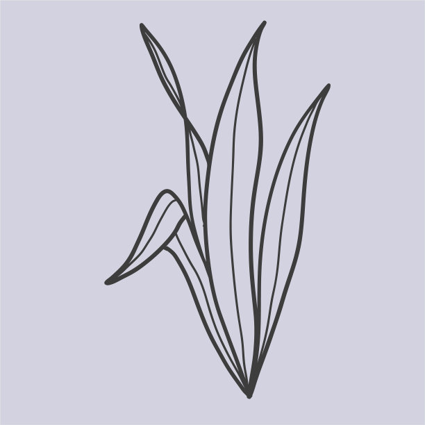 植物叶涂鸦野花线艺术图片下载