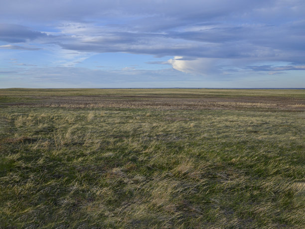 南达科塔州大草原图片下载