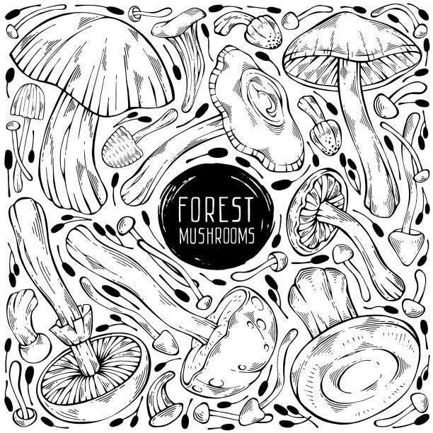 黑色和白色的蘑菇和野草图片下载