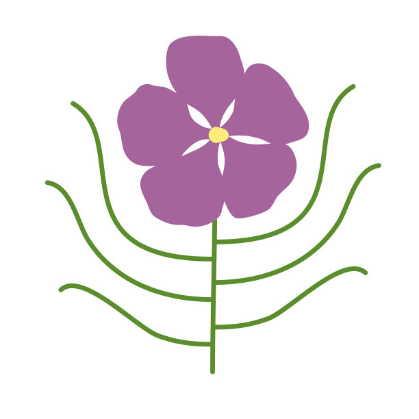 由布利斯千兆安泰亚澳大利亚花图片下载