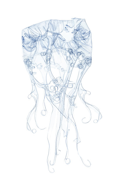 用白色背景上分离的塑料瓶(废物再利用概念)制成塑料水母图片下载