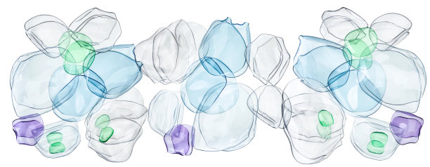 白色背景上分离的塑料瓶(可回收垃圾概念)制成抽象的塑料岩石图片下载