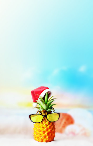 漂亮的菠萝戴着时尚的太阳镜，在沙滩上对抗海水。戴着圣诞帽。热带海滩上的圣诞节和新年概念。图片下载