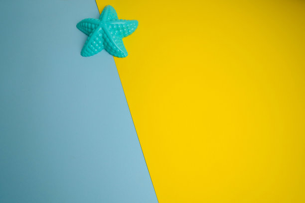 蓝色背景上的贝壳。图片下载