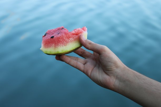 食物和自然图片下载