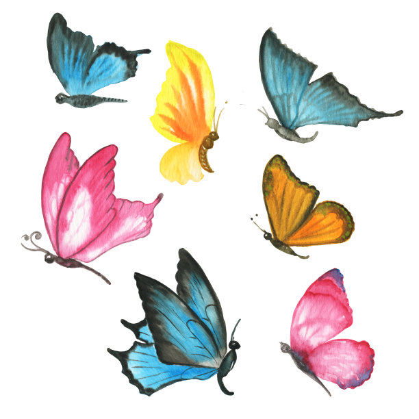 水彩剪贴画，可爱的蝴蝶。夏天五颜六色的昆虫。手绘插图。春夏季节概念图片下载