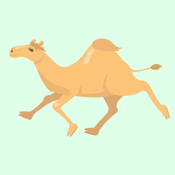 有一个驼峰的骆驼图片下载