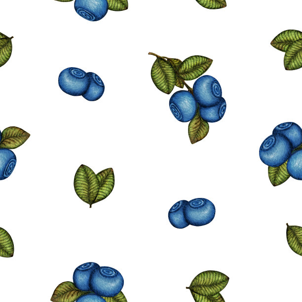 水彩蓝莓，越桔无缝图案。蓝色的森林浆果树枝和绿色的叶子在白色上。手绘植物背景为复古花卉印花图片下载