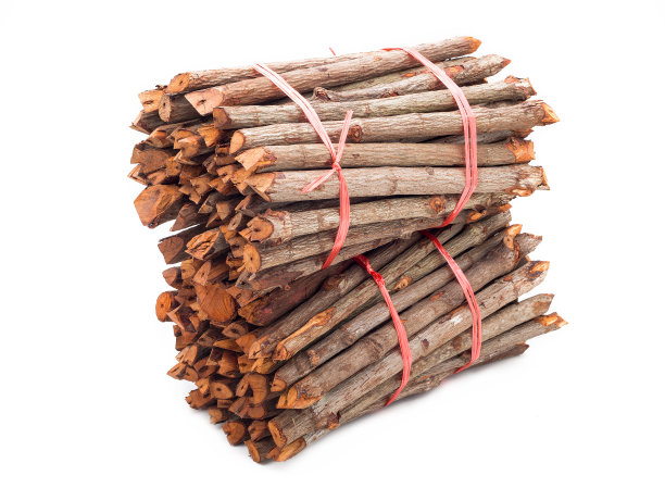 白柴白底图片下载